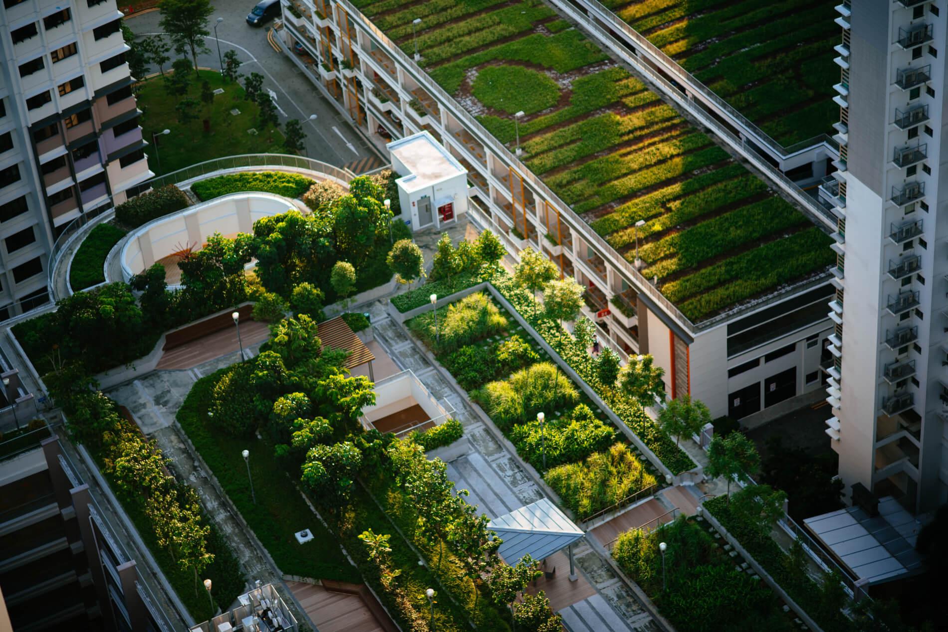 Жилой комплекс «Парадиз»